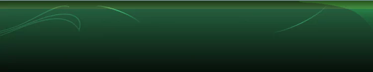 background category section